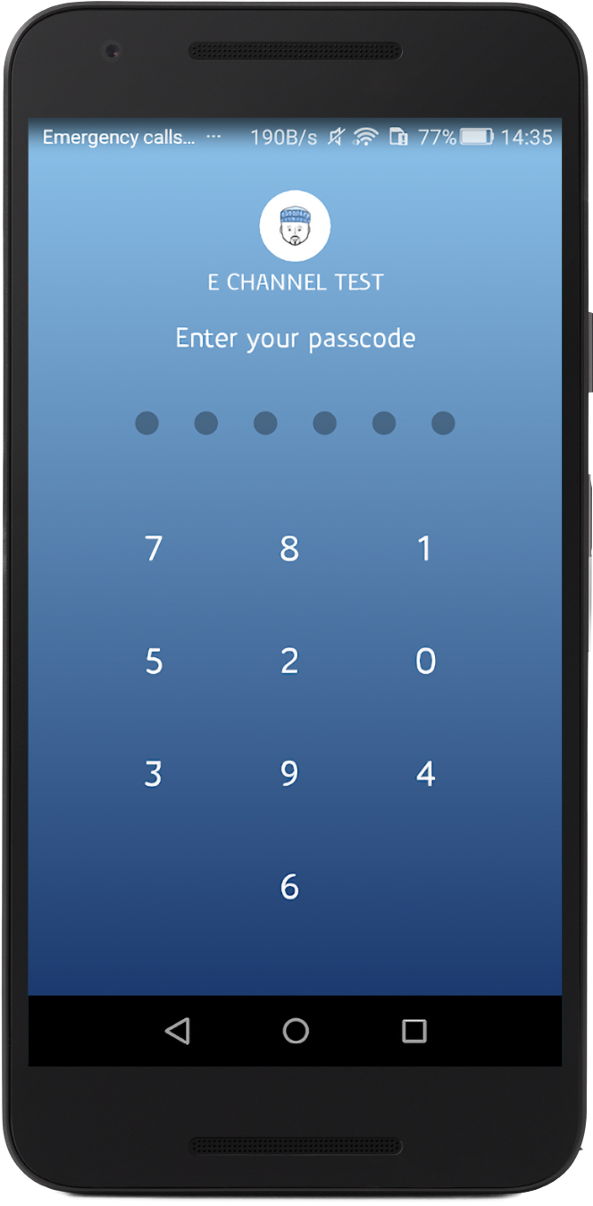 Custom Lock Screen of the App